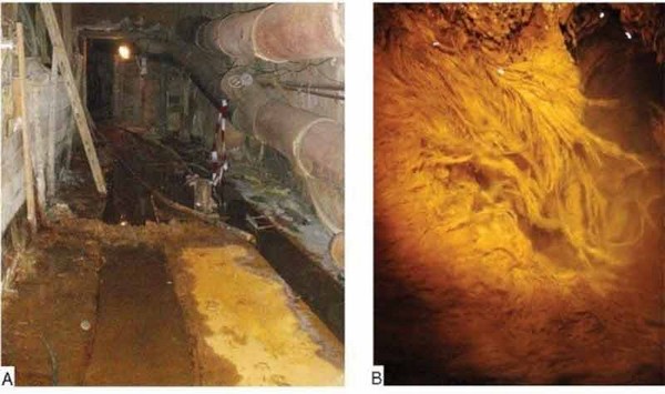 Les formes de vie étranges abondent dans les anciens tunnels de la mine. Crédit image : I. Zirnstein et al, MicrobiologyOpen, 2012